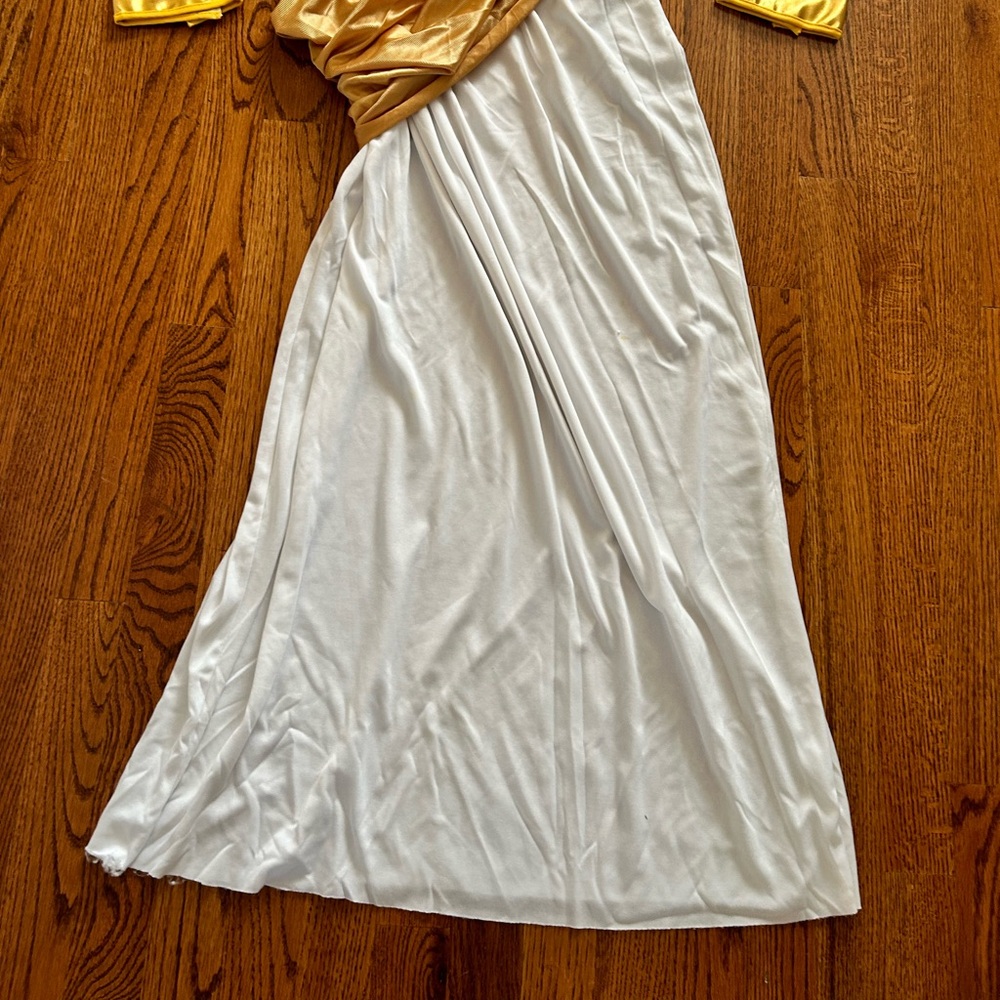 Men’s Caesar Costume - image 7